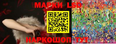 стафф Краснознаменск