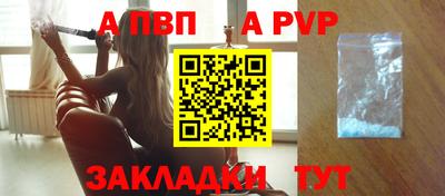 стафф Краснознаменск